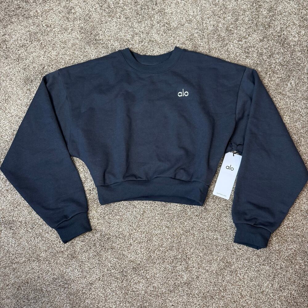 ALO Cropped Accolade Crewneck Size Medium Anthracite / Gray Chrome NWT $128